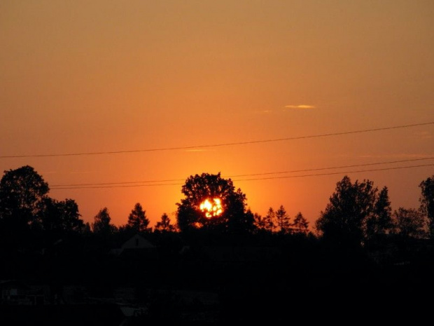 wschód słońca w drodze do Zakopanego-słoneczko schowało się w drzewo #słońce