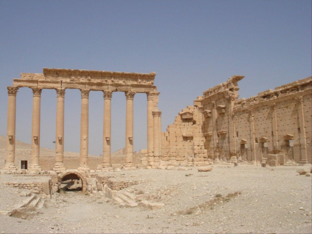 Palmira (Syria)