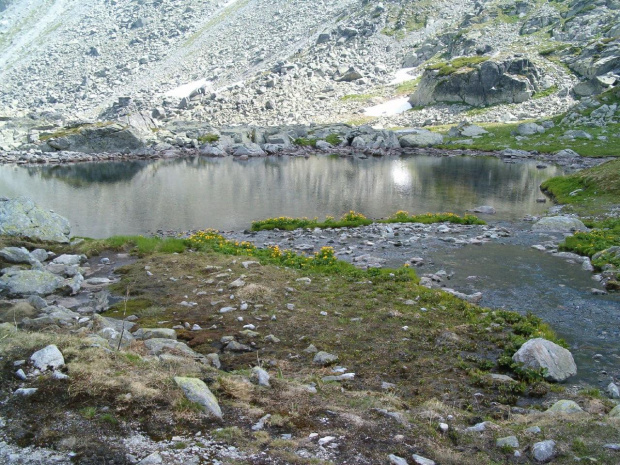 Zbójnicki Staw #Tatry