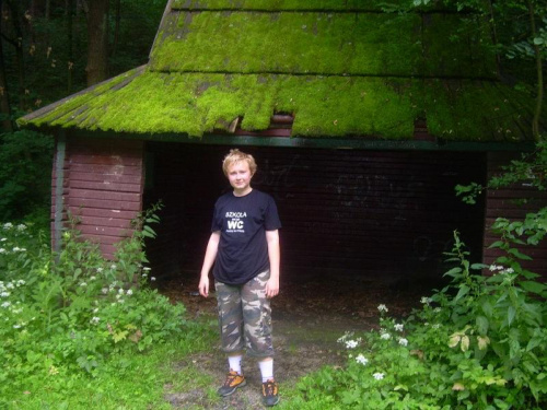 Myślibórz
