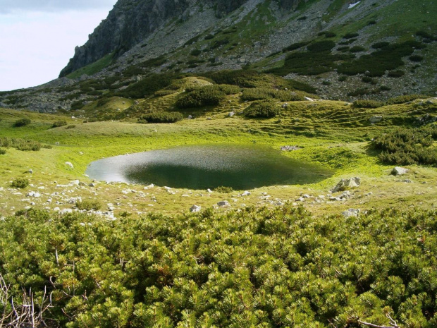 w Dol. Raczkowej #Tatry