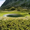 w Dol. Raczkowej #Tatry