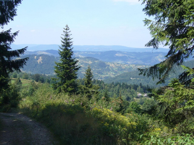 Beskid Żywiecki- Pasmo Jałowieckie. Czerniawa sucha(1062m.n.p.m.), Beskidek(1044),Hala Kamińskiego, Mędralowa(1169) Hala Mędralowa, Jaworzyniec(997). #BeskidŻywiecki #Jałowiec #Mędralowa #HalaKamińskiego #HalaMędralowa #CzerniawaSucha