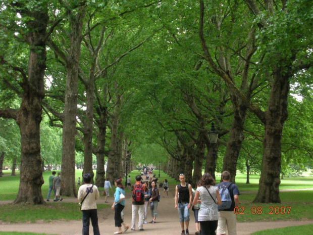 Green Park:)-piekne stare powykrecane drzewa:)znowu duzo ludzi:) #londyn #wycieczka