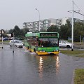 Lechicka/Wojciechowskiego