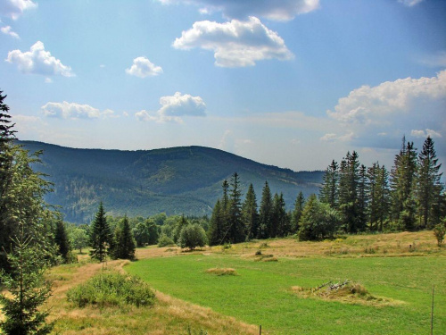 polanka na Oźnej