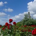 Wakacje 2007 - Gdańsk, Westerplatte