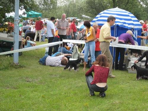 23.VI.2007 #WystawyPsów