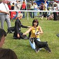23.VI.2007 #WystawyPsów