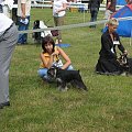 23.VI.2007 #WystawyPsów