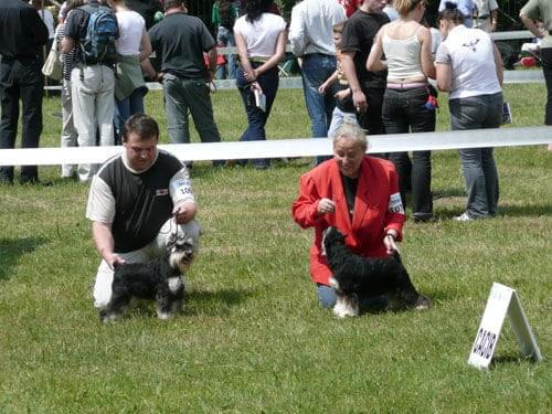 23.VI.2007 #WystawyPsów
