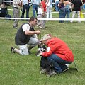 23.VI.2007 #WystawyPsów