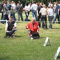 23.VI.2007 #WystawyPsów