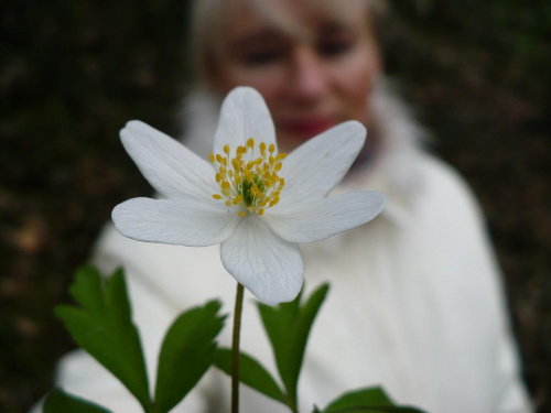 Śliczny biały kwiatuszek a w tle moja kochana mamusia w bieli :)