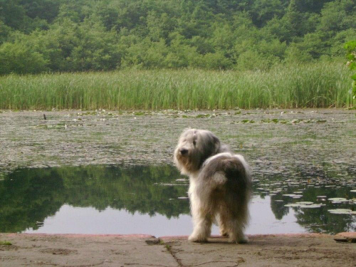 Wakacje w Białogórze