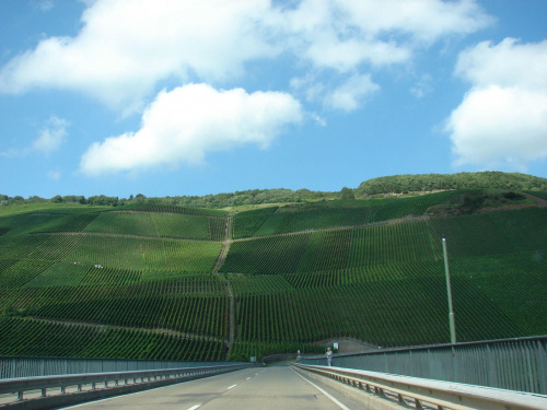 #Mosel #DolinaMozeli #Trier #Bernkastel #Koblenz #DeutscheEcke