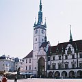 Wystawa kotów Olomouc