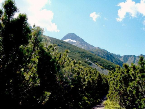 Jagnięcy Szczyt #Tatry