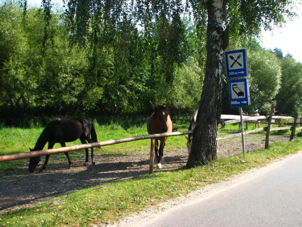 sierpień 2007