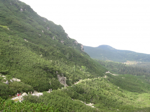 Droga powrotna. #góry #Tatry