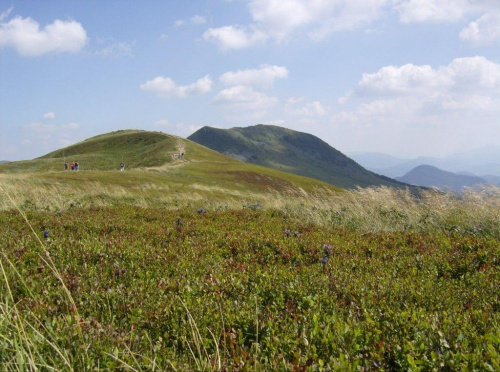 #Bieszczady #PołoninaWetlińska #Tarnica