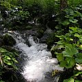 Plitvice 23.06.2007r.