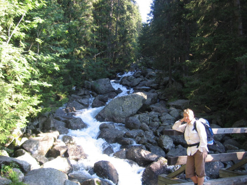 Potok Krupa. Po połączeniu z Mieguszowieckim Potokiem dalej płynie jako Poprad #Góry #Tatry