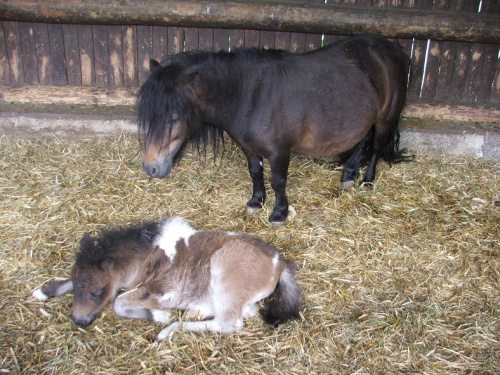 Dalsza część zdjątek z Zoo