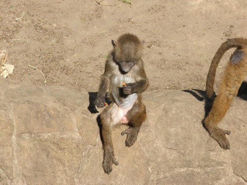 Dalsza część zdjątek z Zoo