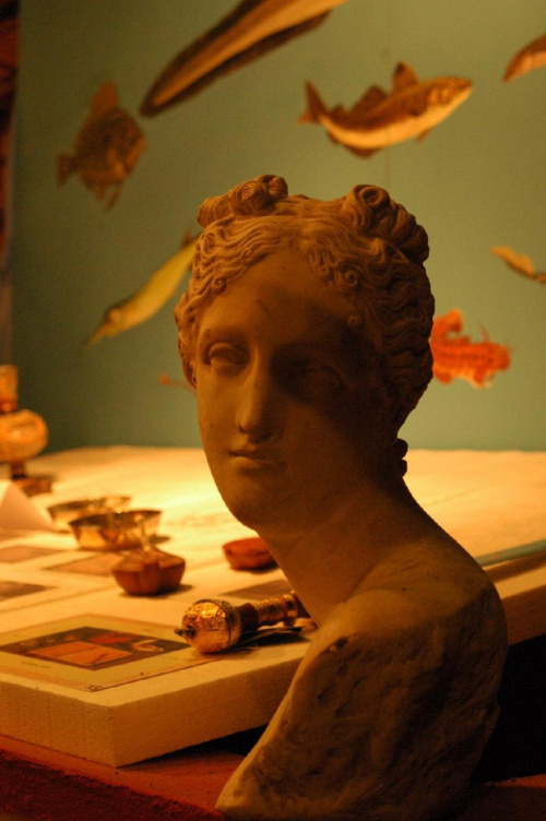 york muzeum rzymskie