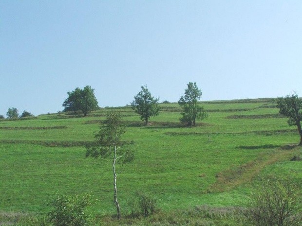 Beskid Niski