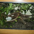 Terrarium cz.2