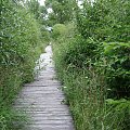 Biebrzański Park Narodowy Lipiec 2oo7