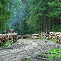 Błoto po kostki (Bieszczady)