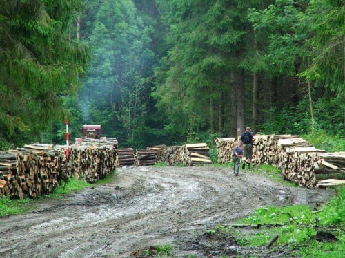 Błoto po kostki (Bieszczady)