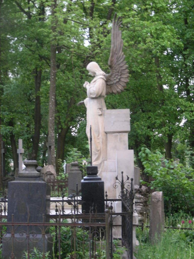 Pomnik #cmentarz #las #pomnik