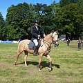 Zawody Jeździeckie w Elblągu #koń #konik #konie #rumaki #koniki #ZawodyJeździeckie #SkokiPrzezPrzeszkody