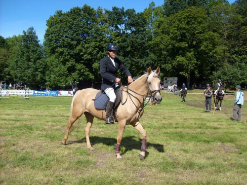 Zawody Jeździeckie w Elblągu #koń #konik #konie #rumaki #koniki #ZawodyJeździeckie #SkokiPrzezPrzeszkody