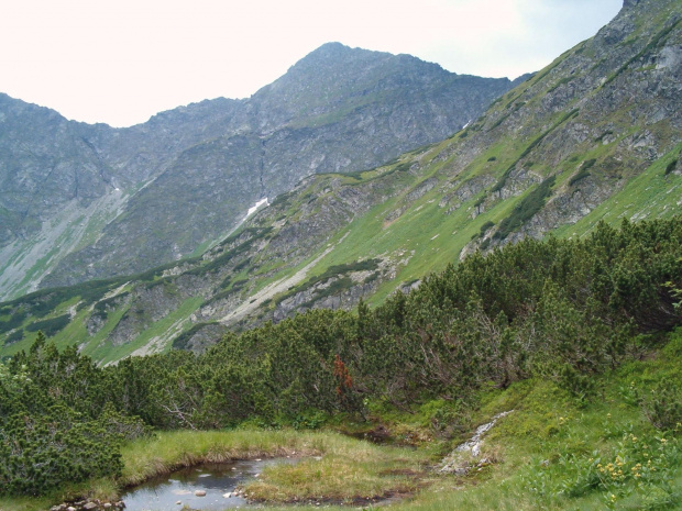 Rohacze od strony stawów #Tatry #góry