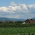 Panorama Beskidu Śląskiego widzianego z Pruchnej koło Cieszyna #panorama #góry