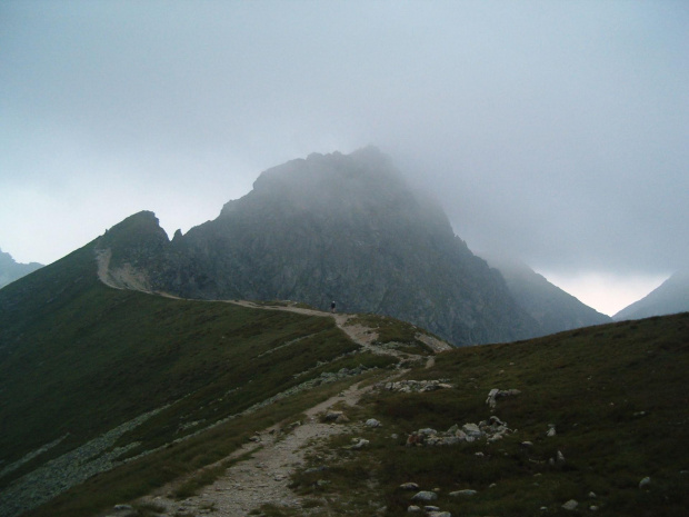 między Hrubą Kopą, a Banówką #Tatry #góry