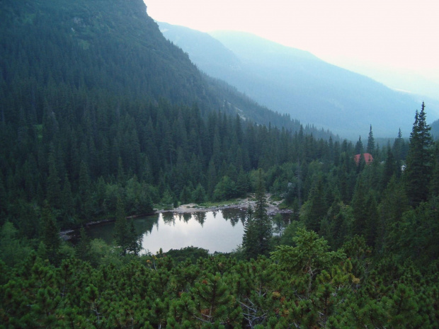 w Dolinie Rohackiej #Tatry #góry