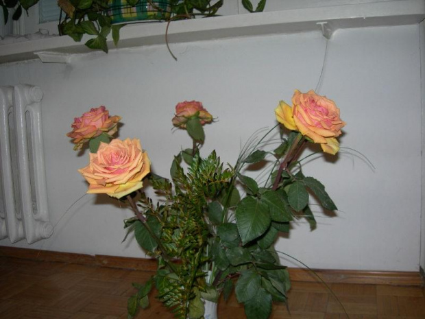 roze