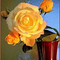 kartka od zbyszek19, dziękujemy Zbyszku za różane ciepło przełomu lata i jesieni :))) #kartka #róża #zbyszek19