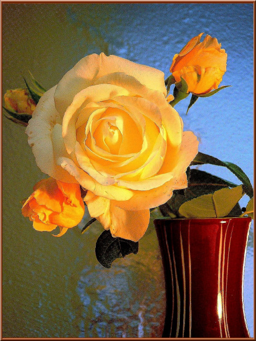kartka od zbyszek19, dziękujemy Zbyszku za różane ciepło przełomu lata i jesieni :))) #kartka #róża #zbyszek19