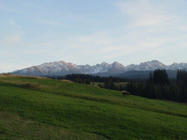 Widok na Tatry z Budzowa #tatry #góry #murzasichle #RusinowaPolana