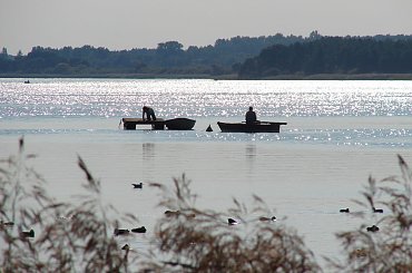 #jezioro #Miedwie #żaglówki #łódki