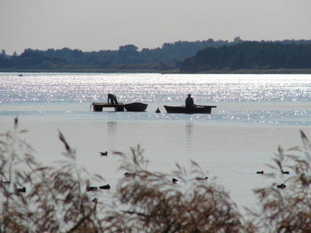 #jezioro #Miedwie #żaglówki #łódki