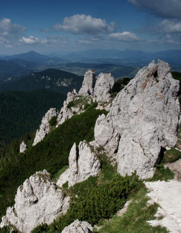 Rzędowe Skały - Masyw Siwego Wierchu #góry #mountain #Tatry #Zachodnie #Siwy