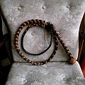 bullwhip nr 96